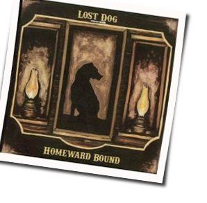 From The Day You Were Born Chords by Lost Dog Street Band
