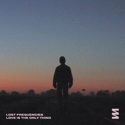 Love Is The Only Thing Chords by Lost Frequencies