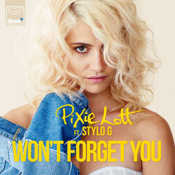 Won't Forget You by Pixie Lott