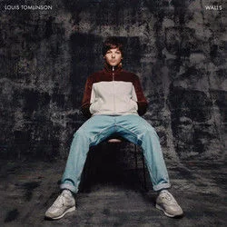 Fearless Chords by Louis Tomlinson