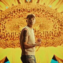 Sunflowers Chords by Louis Tomlinson