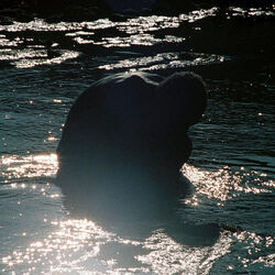 Love Costs Chords by Love Spells