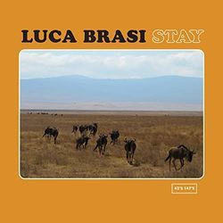Clothes I Slept In by Luca Brasi
