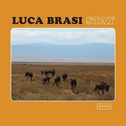 Clothes I Slept In Chords by Luca Brasi