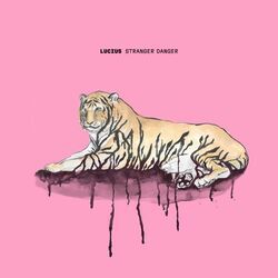 Stranger Danger Chords by Lucius