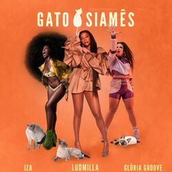Gato Siamês (part. Xamã) Chords by Ludmilla