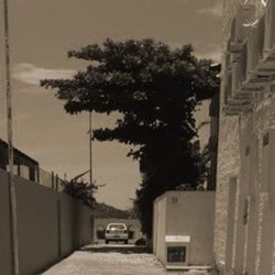 Alone Chords by Luke Berry