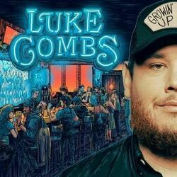 Any Given Friday Night Chords by Luke Combs