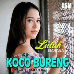 Koco Bureng Chords by Luluk Darara