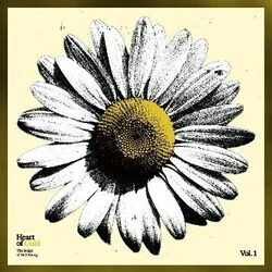 Sugar Mountain Chords by The Lumineers