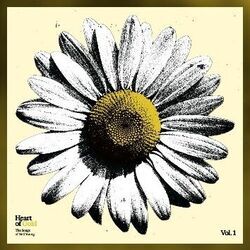 Sugar Mountain Chords by The Lumineers