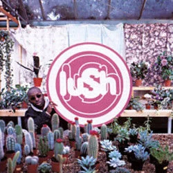 Lovelife Chords by Lush