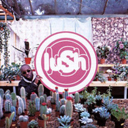 Lovelife Chords by Lush