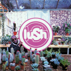 Olympia Chords by Lush