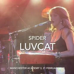 Spider Chords by Luvcat