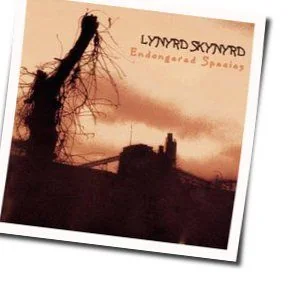 None Of Us Are Free Chords by Lynyrd Skynyrd
