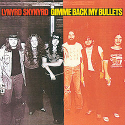 Lynyrd Skynyrd chords for Gimme back my bullets