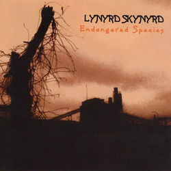 Hell Or Heaven Chords by Lynyrd Skynyrd