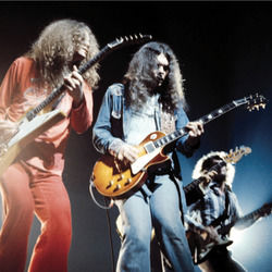 I Never Dreamed Chords by Lynyrd Skynyrd