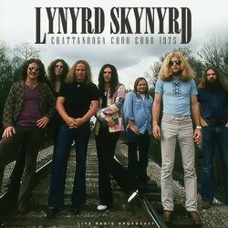 The Needle And The Spoon by Lynyrd Skynyrd