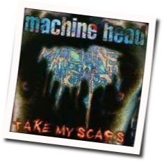 Struck A Nerve Tab by Machine Head