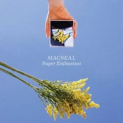 Problem Solved Chords by Macseal