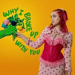Why I Broke Up With You Chords by Madeline The Person
