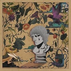 Never The Muse Ukulele Chords by Madilyn Mei