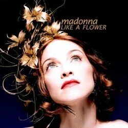 Like A Flower Chords by Madonna