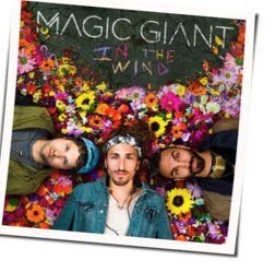Celebrate The Reckless by Magic Giant