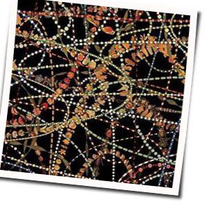 When You We're My Baby Chords by The Magnetic Fields