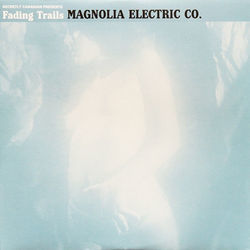 Devil Wings by Magnolia Electric Co.