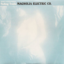 Devil Wings Chords by Magnolia Electric Co.