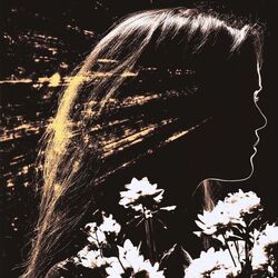 Majka Jeżowska chords for Laleczka z saskiej porcelany