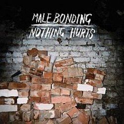 Your Contact by Male Bonding
