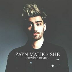 She by Zayn Malik