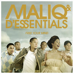 Terdiam by MALIQ & D'Essentials