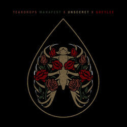 Teardrops Chords by Manafest