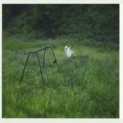 The Gold - Phoebe Bridgers Version Chords by Manchester Orchestra