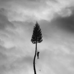 The Maze Tab by Manchester Orchestra