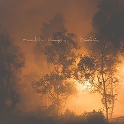 Take This Heart Of Gold Tab by Mandolin Orange