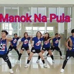 Just Another Woman In Love Parody by Manok Na Pula
