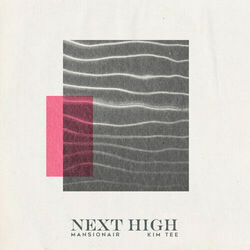 Next High by Mansionair