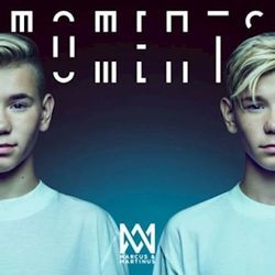 Never Ukulele Chords by Marcus & Martinus