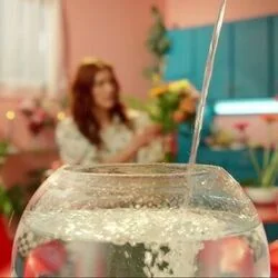 30 Chords by Marianne Rosenberg