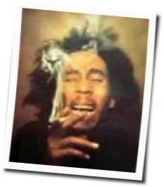 Don't Worry About A Thing Chords by Bob Marley