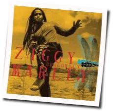 Higher Vibration Chords by Ziggy Marley