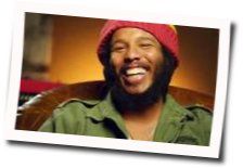 Personal Revolution Chords by Ziggy Marley