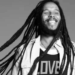 Wild And Free by Ziggy Marley