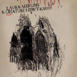 Salinas Chords by Laura Marling